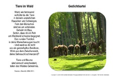 Tiere-im-Wald-Stoecklin.pdf